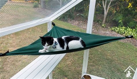 Cat Hammocks For Sale Big - AileenDechant