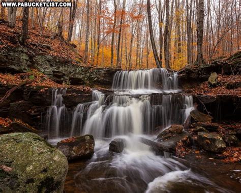 The 23 Best Waterfalls in the Loyalsock State Forest