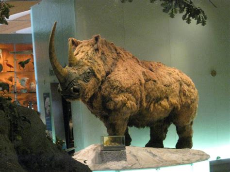 11 Prehistoric Animals So Terrifying You Won't Believe They Were Real