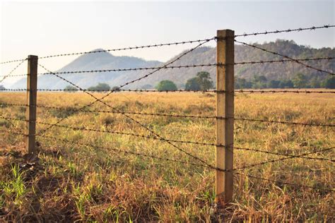 11 New Barbed wire fencing design For Trend 2022 | Best Design and Ideas