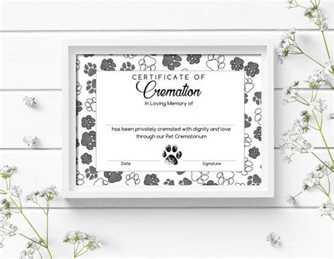 Pet Cremation Certificate Paws instant Download - Etsy