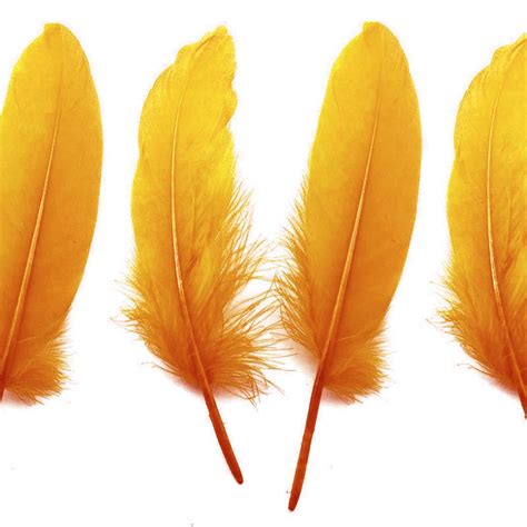 Yellow Feathers | Craft Feathers by Shade | Feather Planet