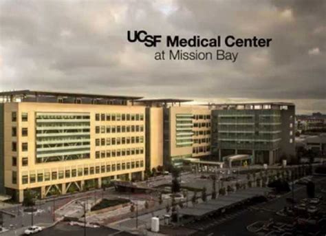 Cracking UCSF Medical School Admissions: High-Yield Resource to Get In