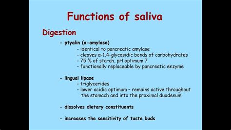 Salivary Glands Part 3; Alpha Amylase and Lingual Lipase - YouTube