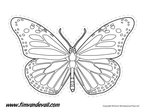 Monarch Butterfly Outline - Tim's Printables