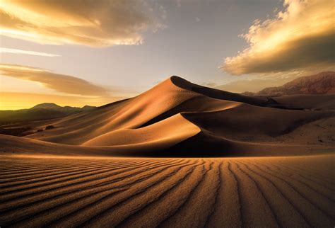 Golden Desert Sand Dunes - HD Wallpaper