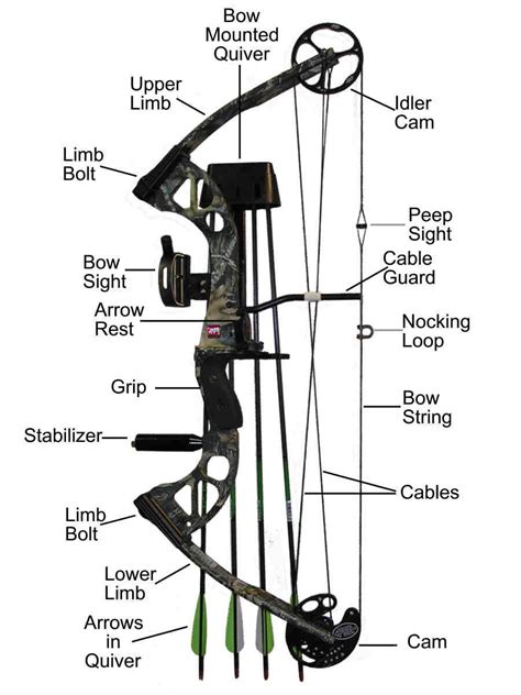 How to Identify the Parts of a Compound Bow [Beginners Guide 2022]