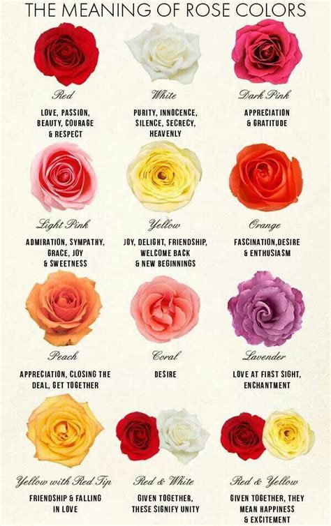 Rose color meanings. | Wait....What? | Pinterest