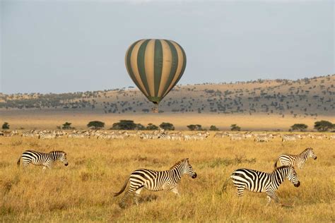 Tanzania - The Serengeti - Fly high above the Serengeti on a hot air ...