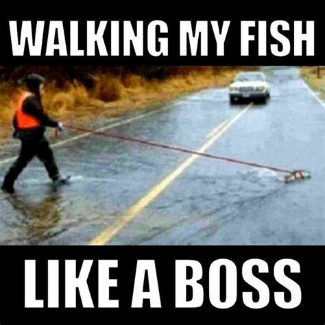 Best Rain Memes for Rainy Days and Stormy Weather | Fishing memes ...