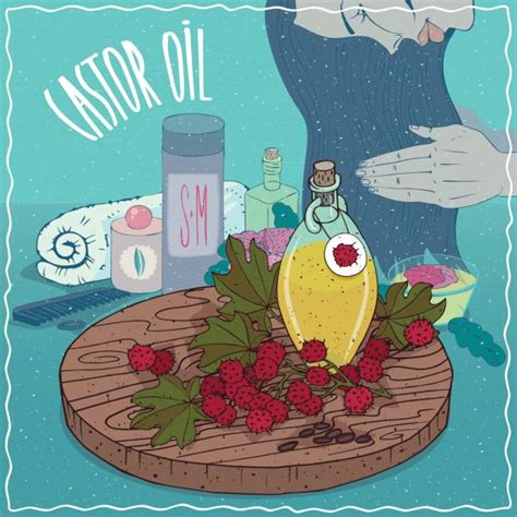 Castor Oil Illustrations, Royalty-Free Vector Graphics & Clip Art - iStock