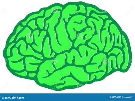 Green Brain Environment stock vector. Illustration of organ - 41334115