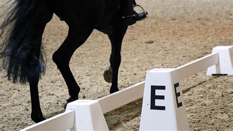 Dressage levels in Britain and the US explained | Horse & Hound