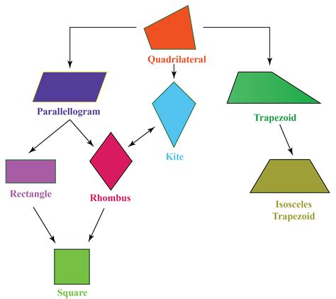 Quadrilateral Definition Properties Types Formulas Notes | The Best ...