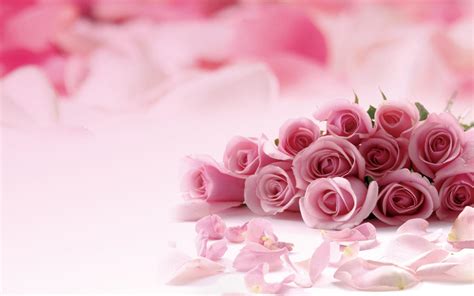 Roses Powerpoint Background