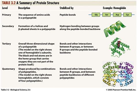 structure of protein - Google Search | Biochemistry, Peptide bond ...