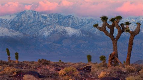 Lone Hiker Dies in the Heat After a Fall in Death Valley, California ...