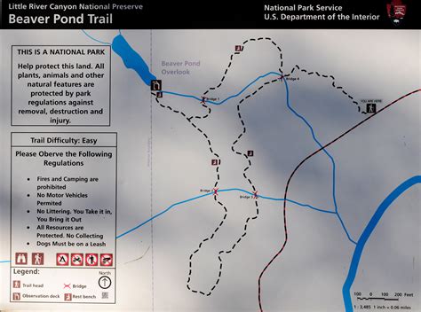 Little River Canyon National Preserve | BEAVER POND TRAIL