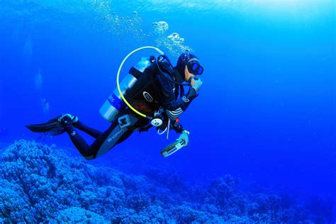 Scuba Diving Wallpaper (59+ images)