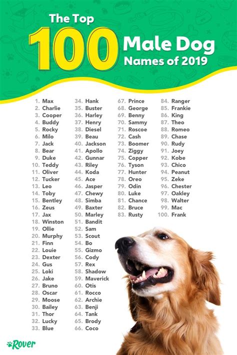 Best Dog Names Ever Male - inbabu