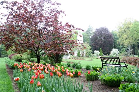 Stanley Park Rose Garden Vancouver Bc - decorooming.com