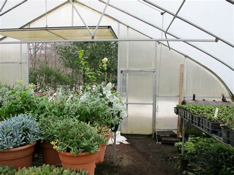 How To Choose The Best Greenhouse Materials To Extend Your Gardening ...