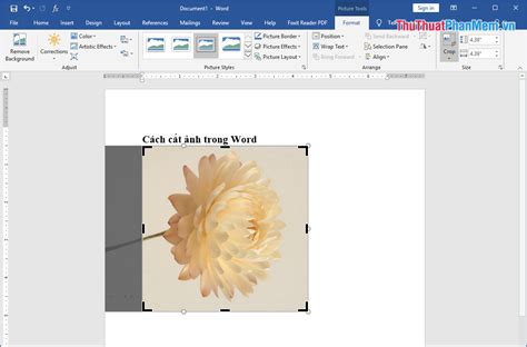 Cách cắt ảnh trong Word