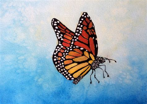 Realistic Butterfly Painting at PaintingValley.com | Explore collection ...