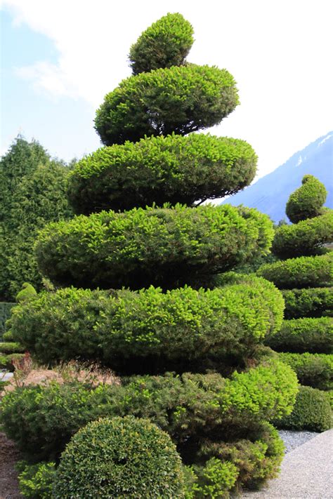 53 Stunning Topiary Trees, Gardens, Plants and Other Shapes