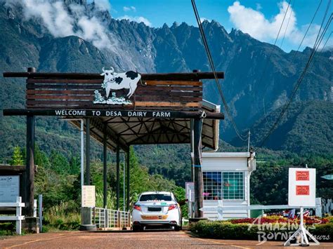 Desa Farm Kundasang Entrance Fee