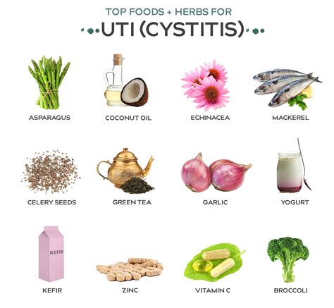 Uti In Babies Home Remedies - BABBIES CIP