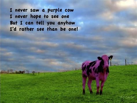 I never saw a purple cow by Gelett Burgess | Purple cow, Cow, Purple