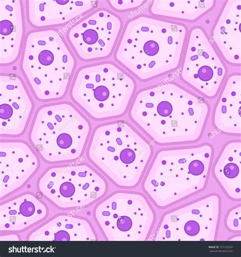 Free photo: Skin cells - Anatomical, Microscope, Old - Free Download ...