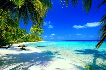 Beach paradise - Beaches & Nature Background Wallpapers on Desktop ...