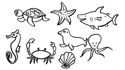 Sea Animal Drawings Easy - Draw-metro