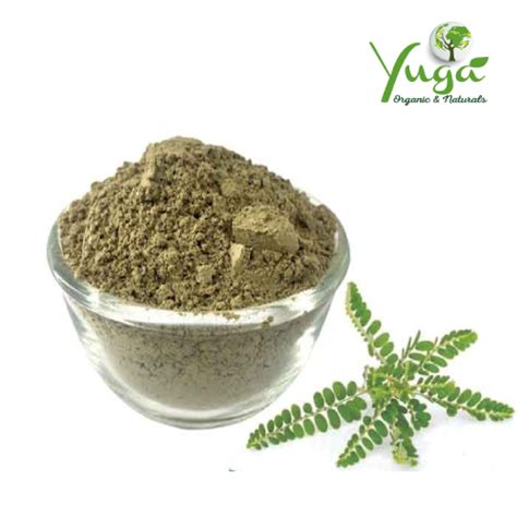 BHUMI AMLA POWDER 100GMS - Yuga Organic