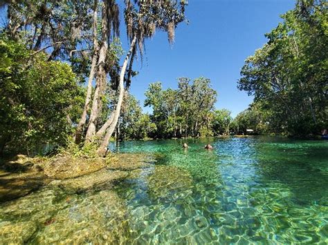 Three Sisters Springs - Review of Three Sisters Springs, Crystal River ...