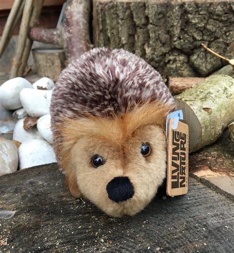 Hedgehog Soft Toy • Outdoor Learning Resources