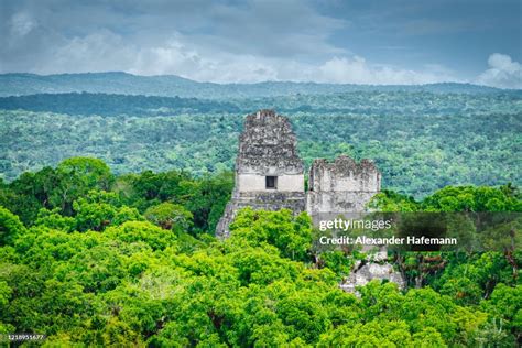 Tikal Temple Iv Inside Rainforest Maya Pyramid Guatemala High-Res Stock ...