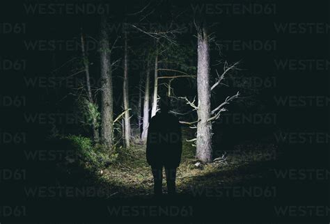 Woman with headlamp in a creepy forest at night stock photo