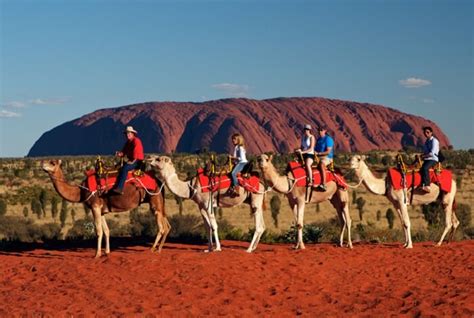 Take a Camel Ride in Uluru