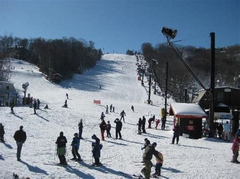 Appalachian ski mountain Boone, NC Used to go as a kid every winter ...