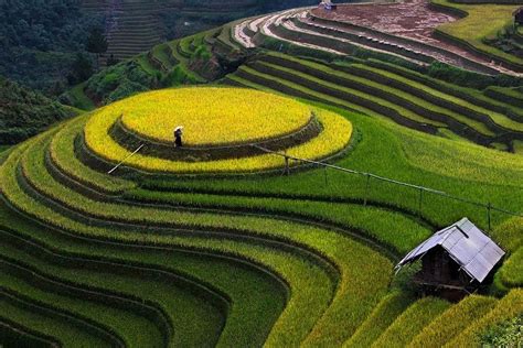 MÙ CANG CHẢI - VIET NAM by Tuan Nguyen Anh on 500px | Vietnam travel ...