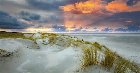 Dutch beaches: The 13 best beaches in the Netherlands