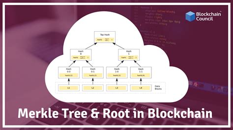 What Is Merkel Tree & Merkel Root In Blockchain And How it exists?