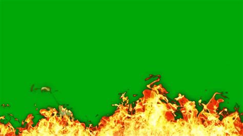 Update 71+ imagen green background video effects hd free download ...