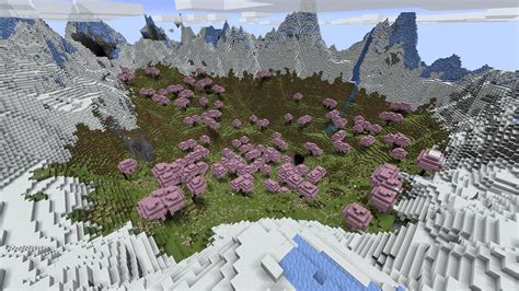 5 best seeds for Minecraft 1.20 Trails & Tales update