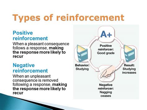 Operant conditioning: Positive-and-negative reinforcement and ...