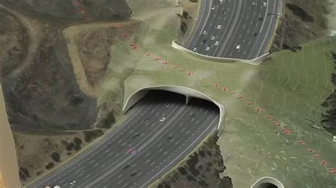 Agoura Hills: Wildlife crossing project on 101 Freeway gets $5 million ...