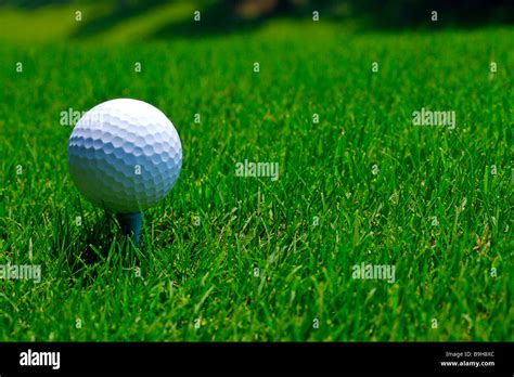 Golf ball on tee ground view close up Stock Photo - Alamy